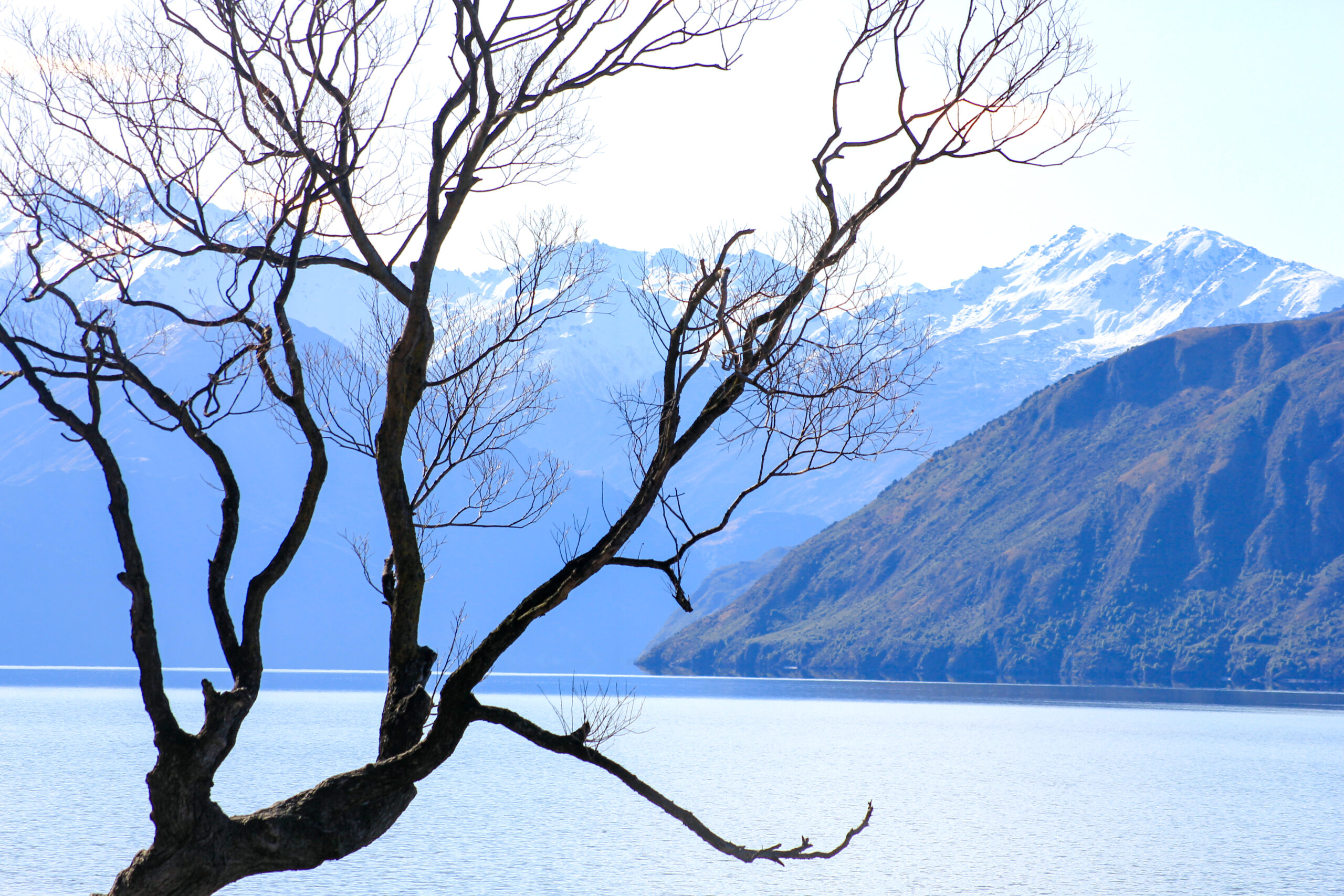 Zealandia, bête noire de la géologie moderne